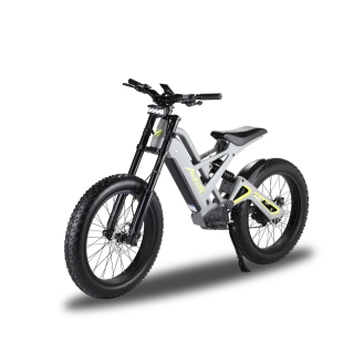 Электровелосипед Mukuta Knight