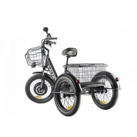 Трёхколёсный электровелосипед GREEN CITY e-ALFA Trike
