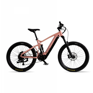 Электровелосипед FREY EVOLVE NEO
